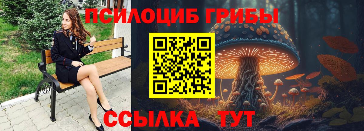 Псилоцибиновые грибы прущие грибы  Псилоцибиновые грибы MAGIC MUSHROOMS  Набережные Челны  Вход с VPN 